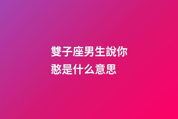 雙子座男生說你憨是什么意思-第1張-星座運勢-玄機派