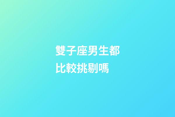 雙子座男生都比較挑剔嗎-第1張-星座運(yùn)勢(shì)-玄機(jī)派