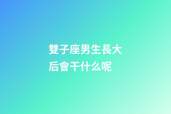 雙子座男生長大后會干什么呢-第1張-星座運勢-玄機派