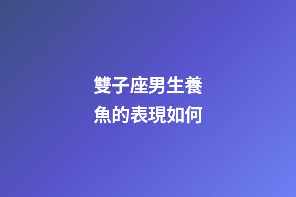 雙子座男生養魚的表現如何