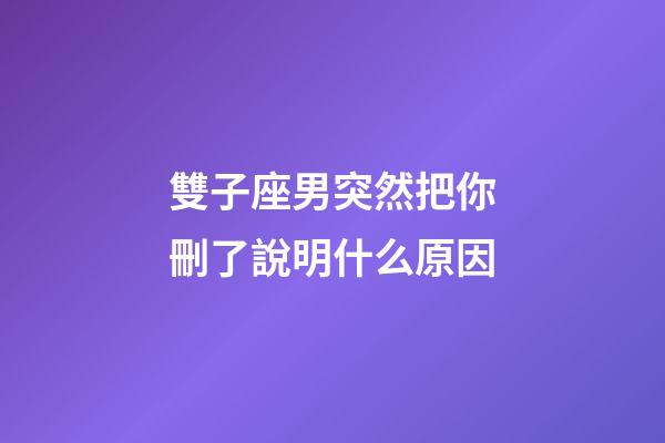 雙子座男突然把你刪了說明什么原因-第1張-星座運勢-玄機派