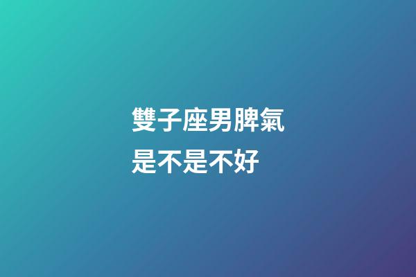 雙子座男脾氣是不是不好-第1張-星座運勢-玄機派