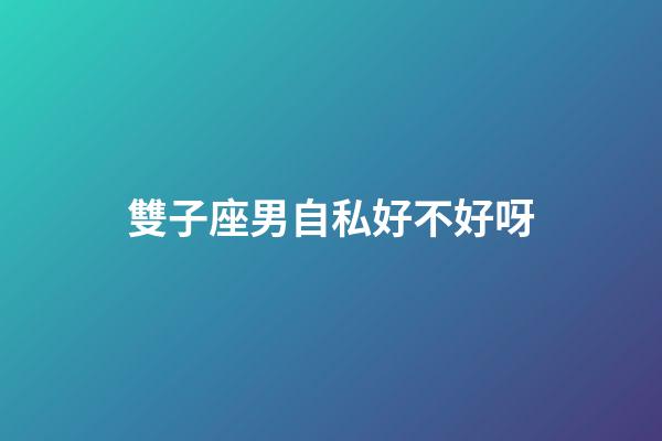 雙子座男自私好不好呀-第1張-星座運勢-玄機派