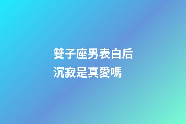 雙子座男表白后沉寂是真愛嗎-第1張-星座運勢-玄機派