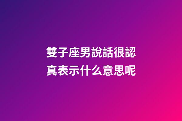 雙子座男說話很認真表示什么意思呢-第1張-星座運勢-玄機派