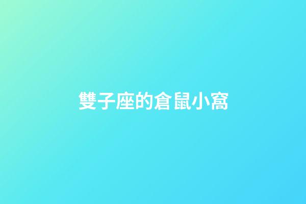 雙子座的倉鼠小窩-第1張-星座運勢-玄機派