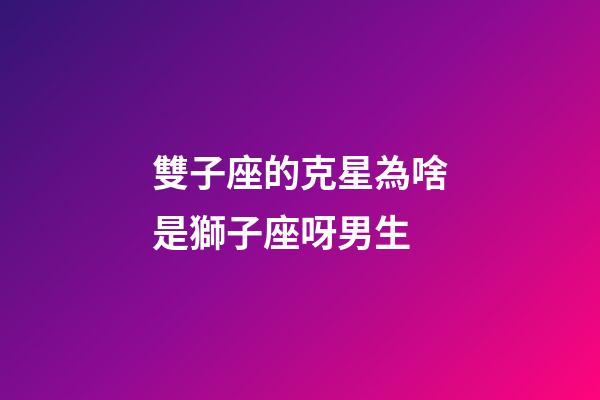雙子座的克星為啥是獅子座呀男生-第1張-星座運勢-玄機派