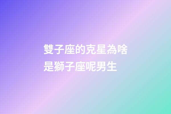 雙子座的克星為啥是獅子座呢男生-第1張-星座運勢-玄機派