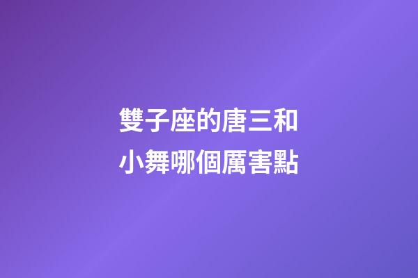 雙子座的唐三和小舞哪個厲害點-第1張-星座運勢-玄機派
