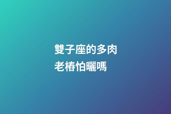 雙子座的多肉老樁怕曬嗎-第1張-星座運勢-玄機派