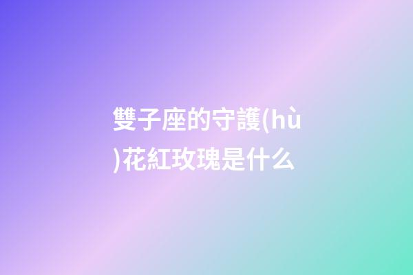 雙子座的守護(hù)花紅玫瑰是什么