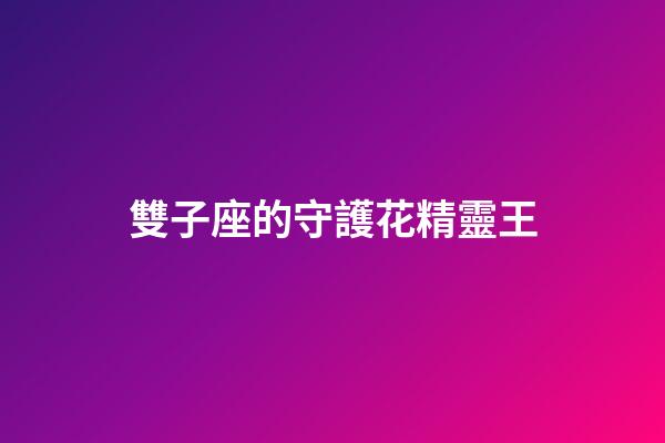雙子座的守護花精靈王