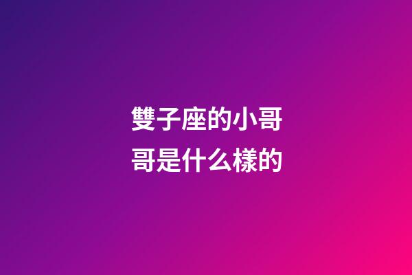 雙子座的小哥哥是什么樣的-第1張-星座運勢-玄機派