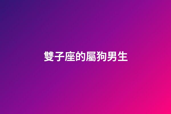 雙子座的屬狗男生-第1張-星座運勢-玄機派