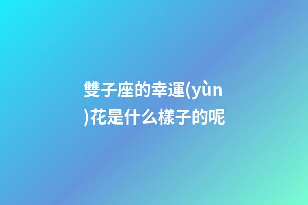 雙子座的幸運(yùn)花是什么樣子的呢-第1張-星座運(yùn)勢(shì)-玄機(jī)派