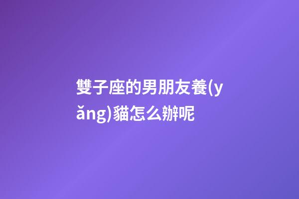 雙子座的男朋友養(yǎng)貓怎么辦呢-第1張-星座運勢-玄機派