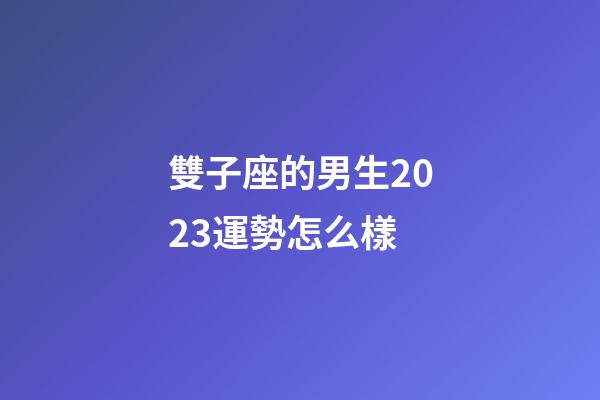 雙子座的男生2023運勢怎么樣-第1張-星座運勢-玄機派