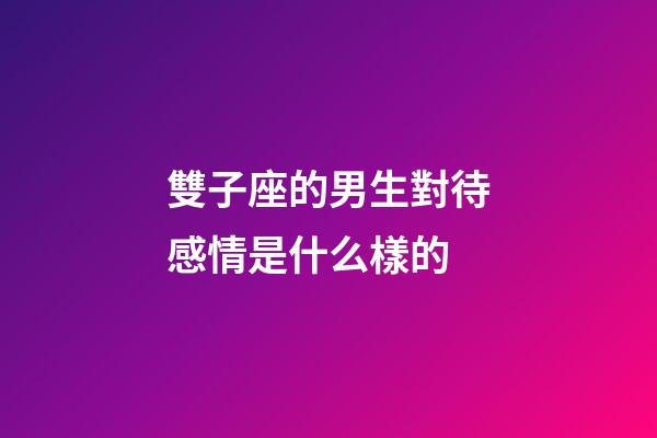 雙子座的男生對待感情是什么樣的-第1張-星座運勢-玄機派