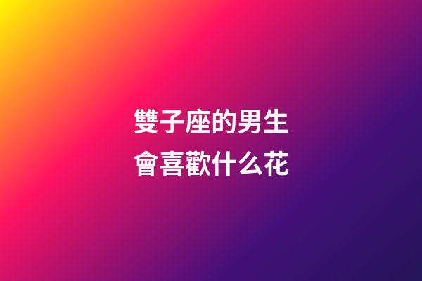 雙子座的男生會喜歡什么花-第1張-星座運(yùn)勢-玄機(jī)派