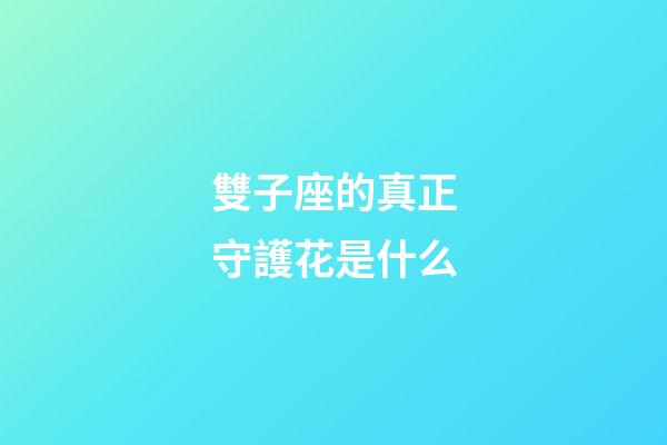 雙子座的真正守護花是什么