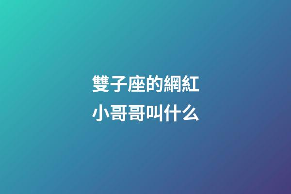 雙子座的網紅小哥哥叫什么
