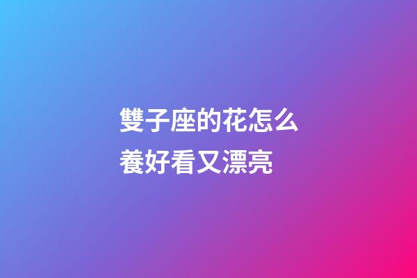 雙子座的花怎么養好看又漂亮-第1張-星座運勢-玄機派