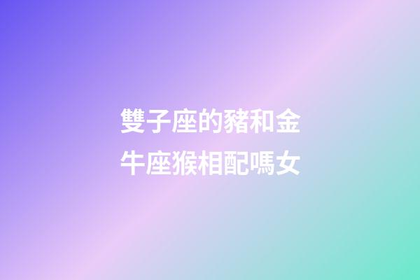 雙子座的豬和金牛座猴相配嗎女-第1張-星座運勢-玄機派
