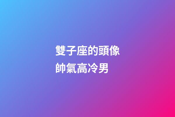 雙子座的頭像帥氣高冷男-第1張-星座運勢-玄機派