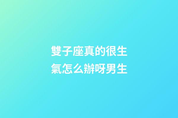 雙子座真的很生氣怎么辦呀男生-第1張-星座運勢-玄機派