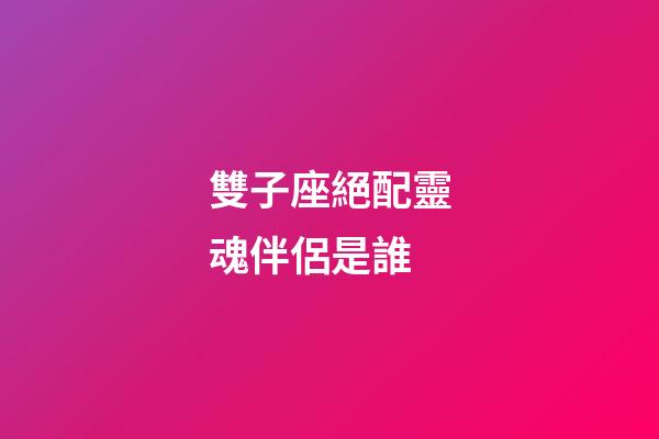 雙子座絕配靈魂伴侶是誰-第1張-星座運勢-玄機派