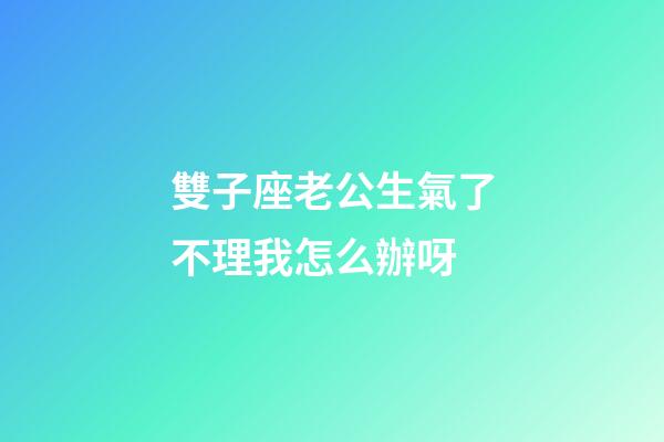 雙子座老公生氣了不理我怎么辦呀-第1張-星座運勢-玄機派