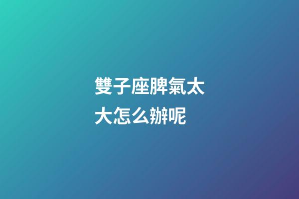 雙子座脾氣太大怎么辦呢-第1張-星座運勢-玄機派