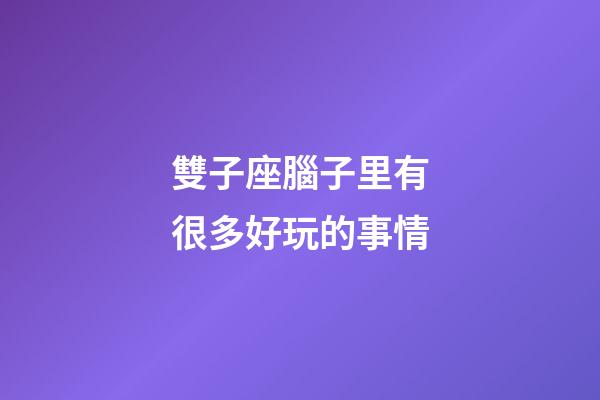 雙子座腦子里有很多好玩的事情-第1張-星座運(yùn)勢-玄機(jī)派