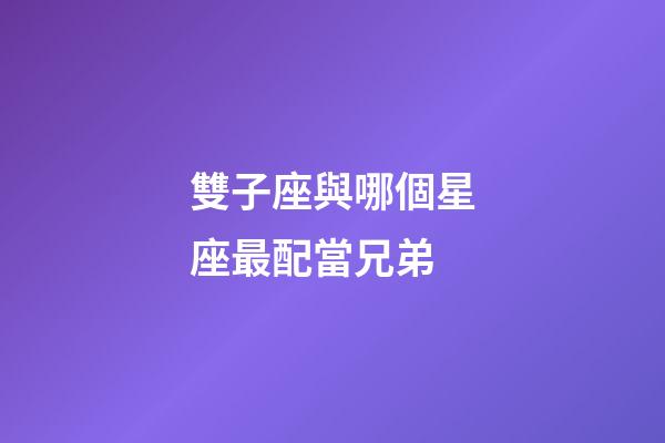 雙子座與哪個星座最配當兄弟-第1張-星座運勢-玄機派