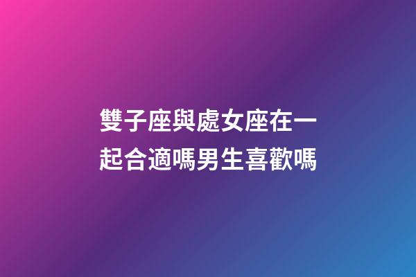 雙子座與處女座在一起合適嗎男生喜歡嗎-第1張-星座運勢-玄機派