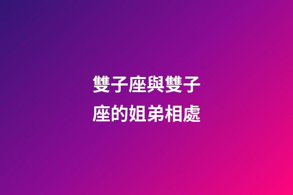 雙子座與雙子座的姐弟相處-第1張-星座運勢-玄機派