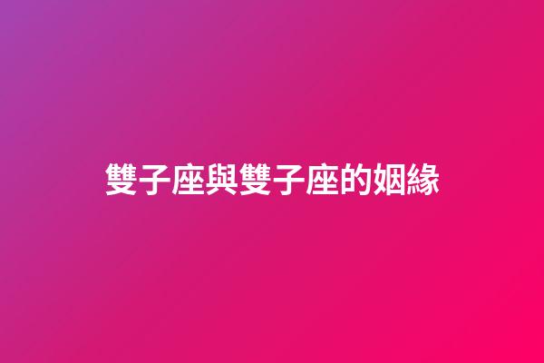 雙子座與雙子座的姻緣-第1張-星座運勢-玄機派