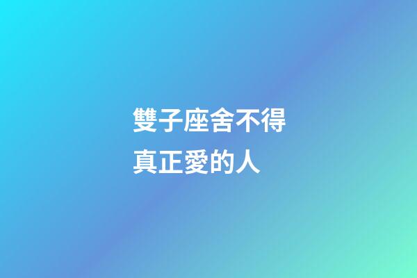 雙子座舍不得真正愛的人-第1張-星座運勢-玄機派