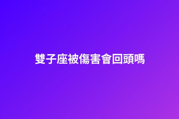 雙子座被傷害會回頭嗎-第1張-星座運勢-玄機派