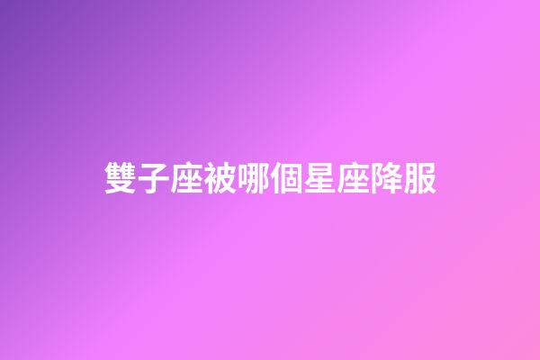 雙子座被哪個星座降服-第1張-星座運勢-玄機派