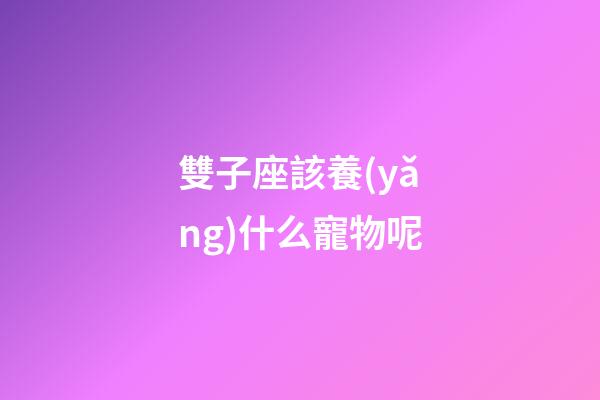 雙子座該養(yǎng)什么寵物呢-第1張-星座運(yùn)勢-玄機(jī)派