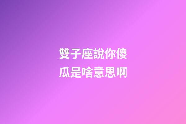 雙子座說你傻瓜是啥意思啊-第1張-星座運勢-玄機派