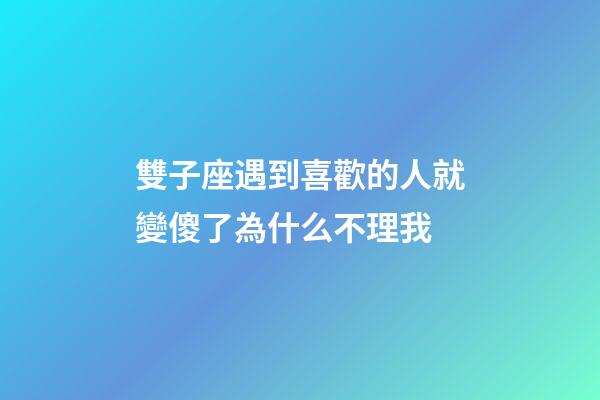 雙子座遇到喜歡的人就變傻了為什么不理我-第1張-星座運勢-玄機派