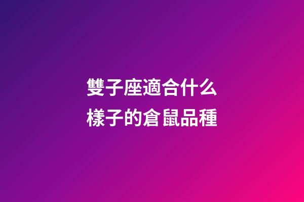 雙子座適合什么樣子的倉鼠品種-第1張-星座運勢-玄機派