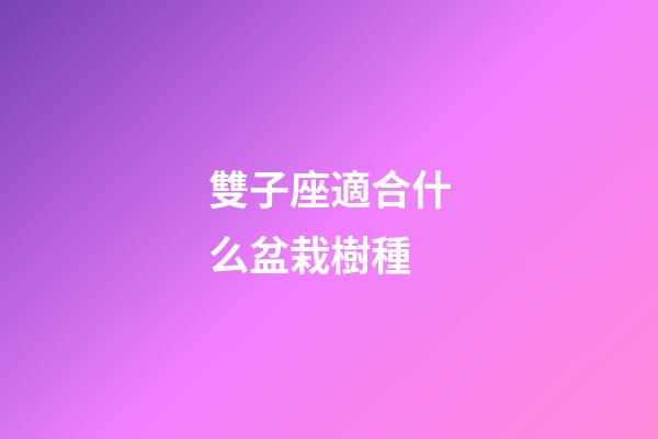 雙子座適合什么盆栽樹種