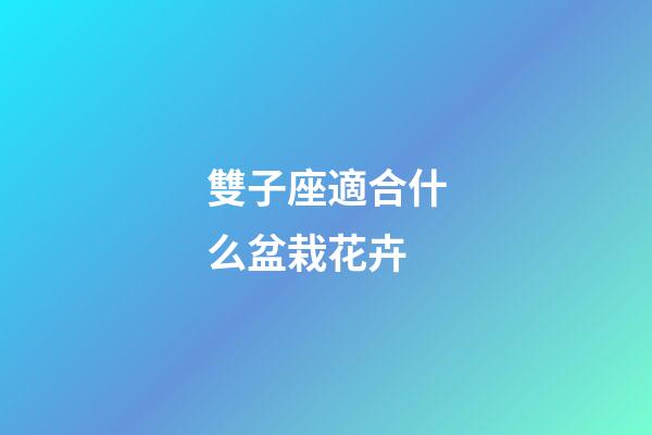 雙子座適合什么盆栽花卉