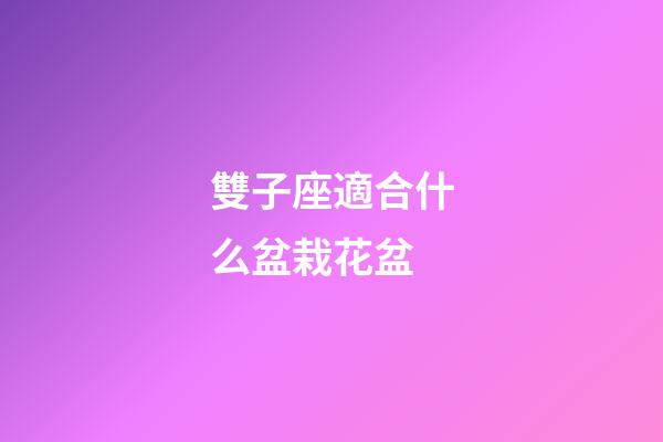 雙子座適合什么盆栽花盆