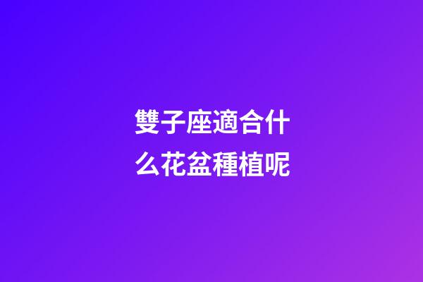雙子座適合什么花盆種植呢