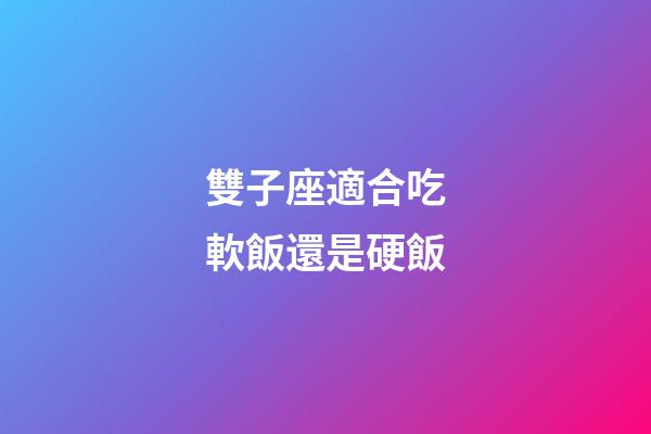 雙子座適合吃軟飯還是硬飯