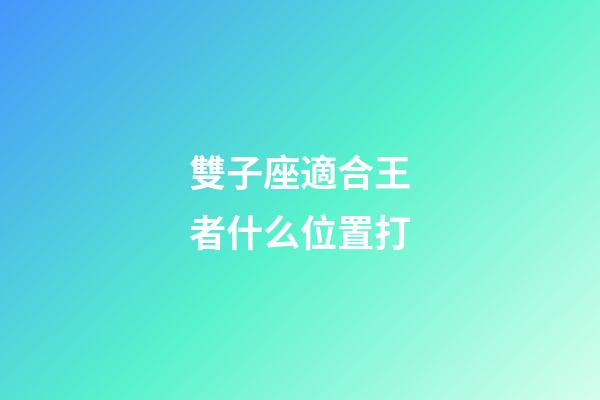 雙子座適合王者什么位置打-第1張-星座運勢-玄機派